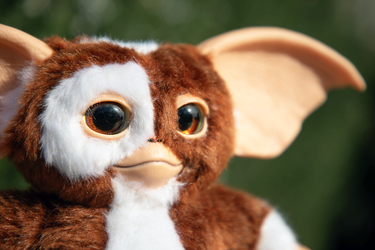 Gremlins 7" Gizmo Singing & Dancing replica plush